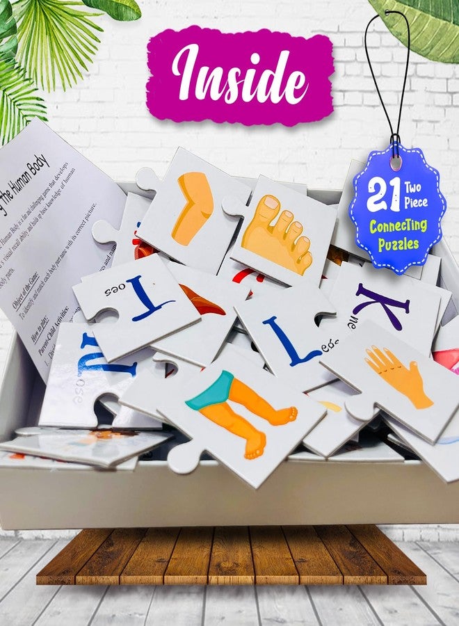 BRIJBASI Human Body Jigsaw Puzzle Connecting 2-Piece (Set of 21 pcs) for Kids, Childrens and Toddlers - Early Learning Educational Brain Booster with Fun and Engaging - Ages 4+ - Image 3